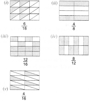 NCERT Solutions for Class 6 Maths Chapter 7 Fractions 27